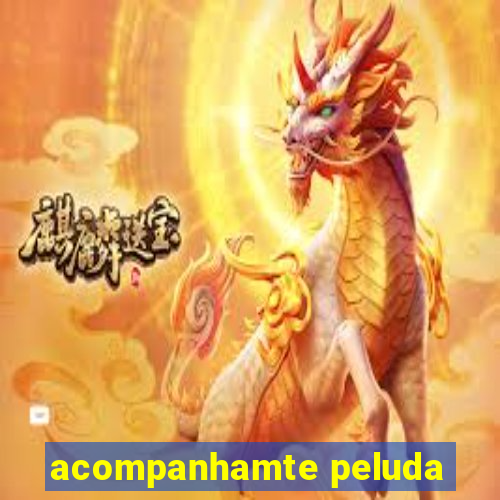 acompanhamte peluda